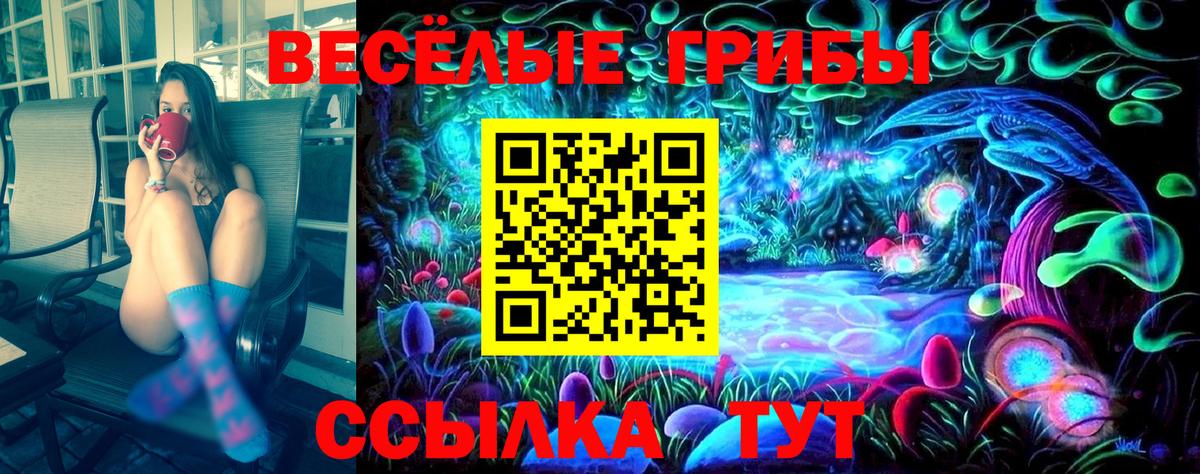 Галлюциногенные грибы Cubensis Мценск