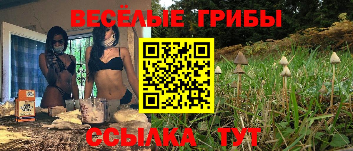 Мценск  Галлюциногенные грибы Psilocybe  Вход с VPN 